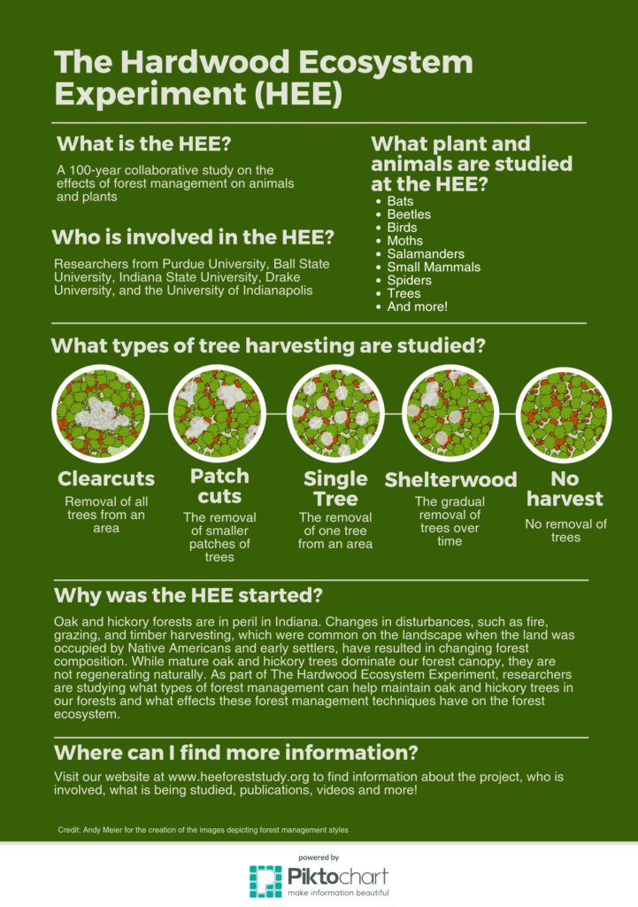 HEE Infographic, What is the HEE?, Who is involved in the HEE?